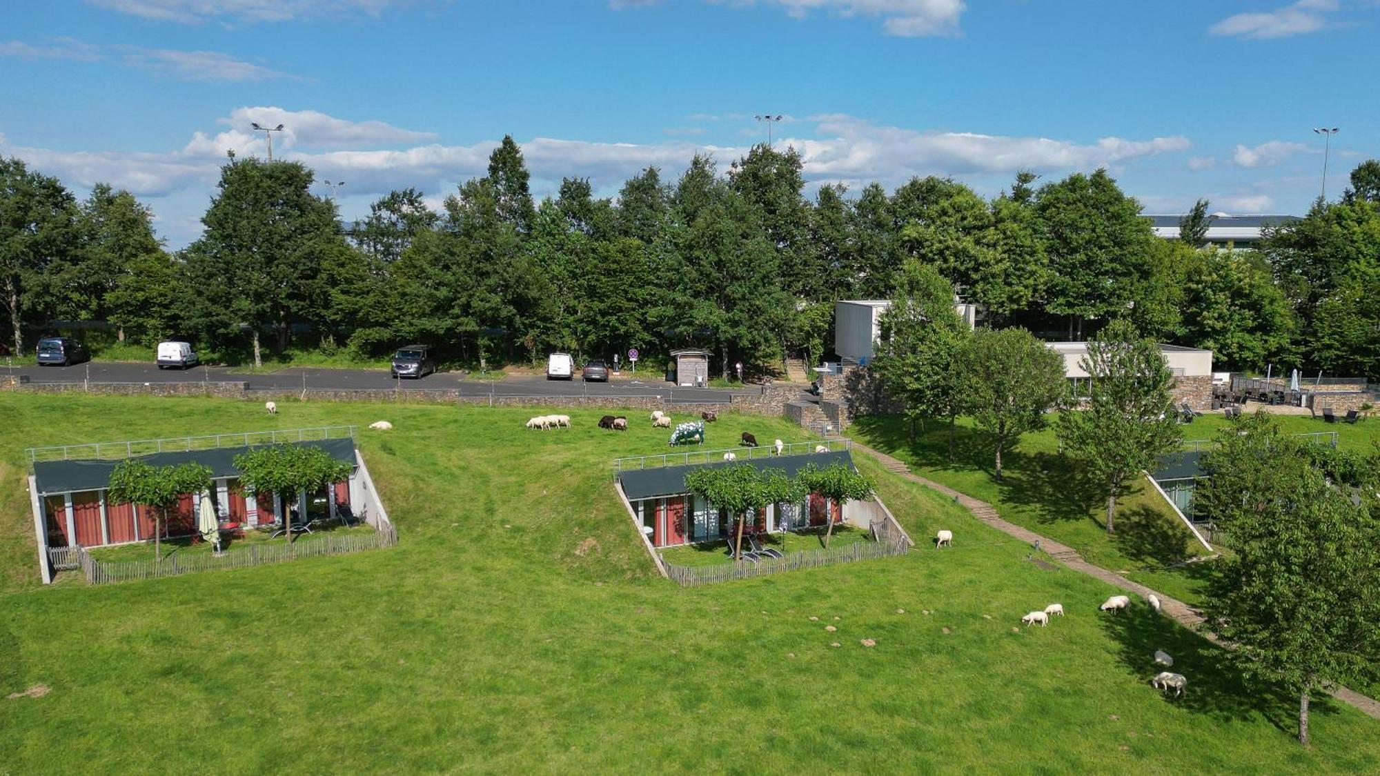 Les Collines De Sainte-Fereole Hotell Exteriör bild